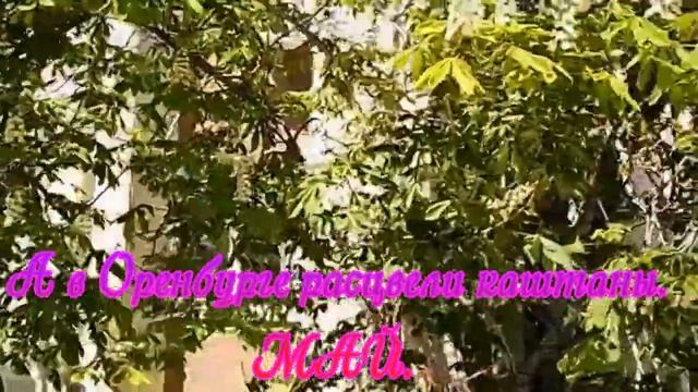 Снова цветут каштаны ОРЕНБУРГ МАЙ смотреть онлайн