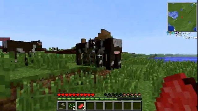 Lots of Rage and the Multiplying Horse - (Adventures w/ Imagine) [Part 2] смотреть онлайн