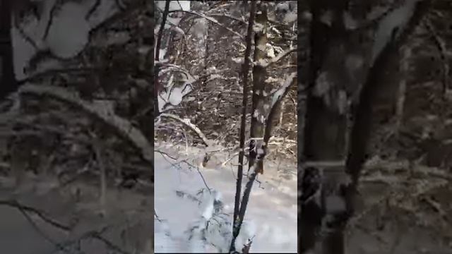 Новая жизнь с нового года