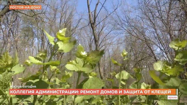 Ростов сегодня: вечерний выпуск. 15 июня 2023 смотреть онлайн