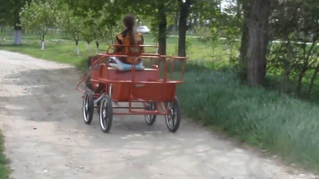 Орёл в упряжи смотреть онлайн