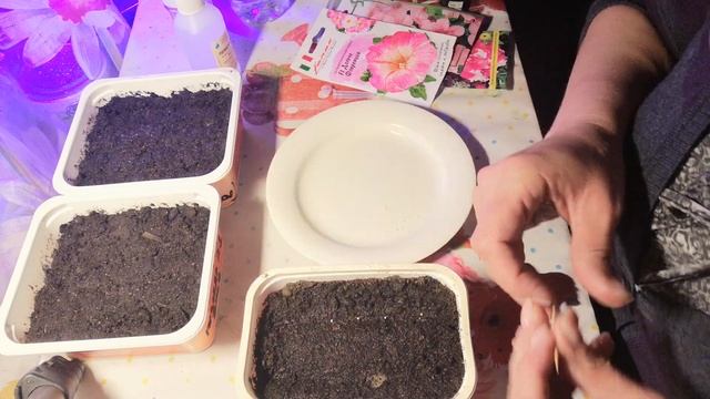 СЕМЕНА В ГРАНУЛАХ//РАЗРУШАЕМ ҐРАНУЛУ ДЛЯ ЛУЧШЕГО ПРОРАСТАНИЯ СЕМЯН смотреть онлайн