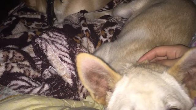 Что со мной случилось? смотреть онлайн