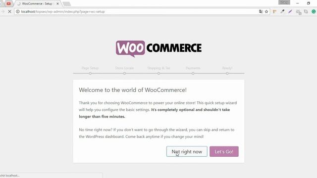 1 click import demo content - TopSEO premium WordPress theme смотреть онлайн