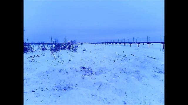 МТЛБ в работе