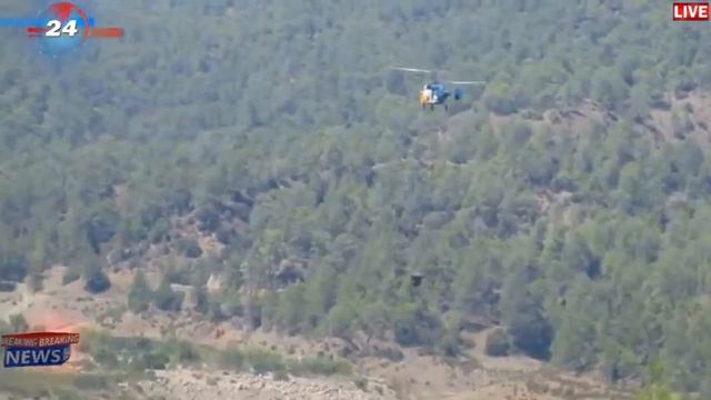 Лесные пожары на Кипре смотреть онлайн