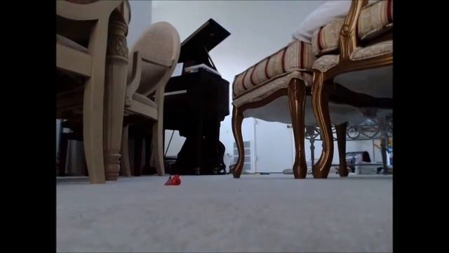 Revenge of the Angry Birds смотреть онлайн