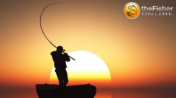 Рыбалка в удовольствие ч2 | Fisher Online 🦈