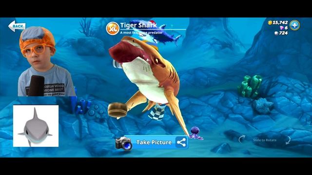 Hungry Shark World Learning names of Sharks for Kids on Jonathan's PLayhouse for kids | Blippi kids смотреть онлайн