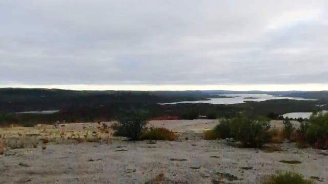 Нашли заброшенный бункер 🏚 Дима Маслеников скачать