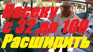 Как сделать отводки пчёл.Сроки,метод создания.Быстрое расширение пасеки. смотреть онлайн