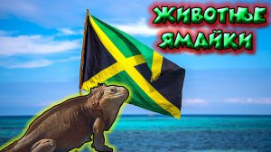 Животные Ямайки