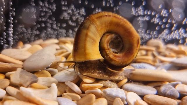 Я буду долго гнать велосипед... смотреть онлайн