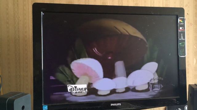 ДОНАЛЬД ДАК Чай вдвоем DISNEY CHANNEL смотреть онлайн