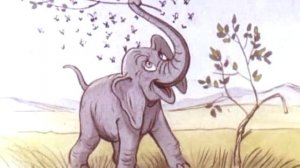 У жирафа пятна пятна пятнышки везде