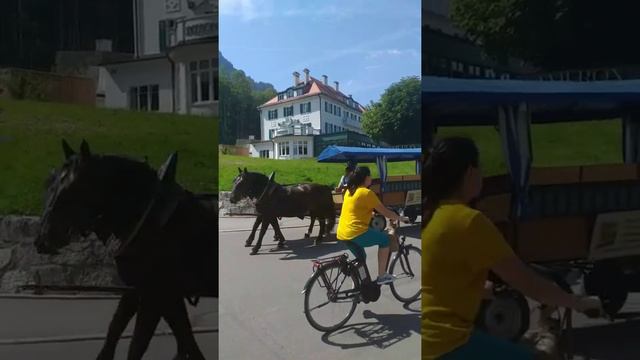 Trip to Germany- Part 4 смотреть онлайн