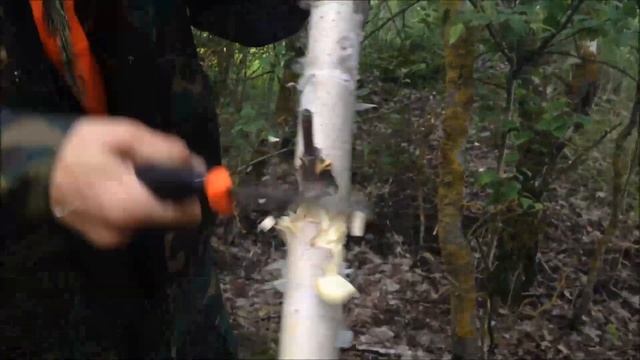 Нож mora в работе/Knife mora in the work смотреть онлайн