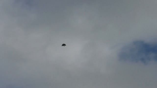 Николаевские СВГ у Михаила в Крыму | 2023 смотреть онлайн