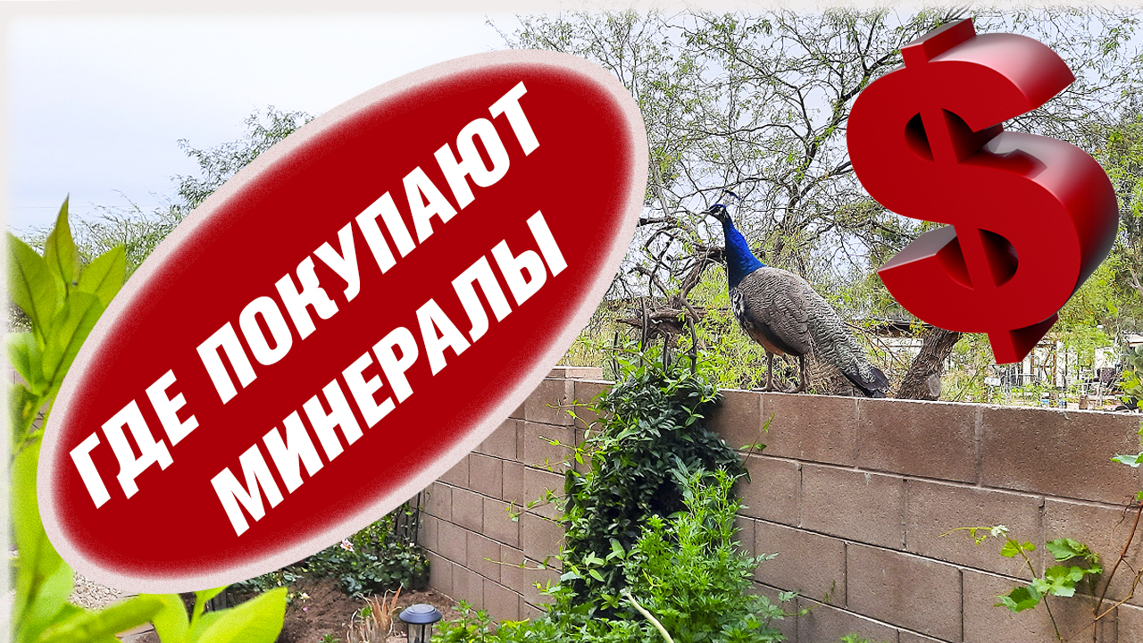 Где покупают минералы? TUCSON GEM AND MINERAL SHOW смотреть онлайн