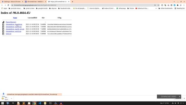 Bikin Bot Web Automation Dengan Python Selenium | Install Selenium Dan Chrome Driver смотреть онлайн