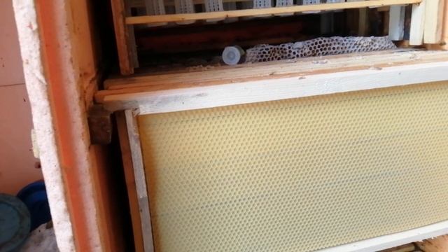 Опыт стационарного павильона смотреть онлайн