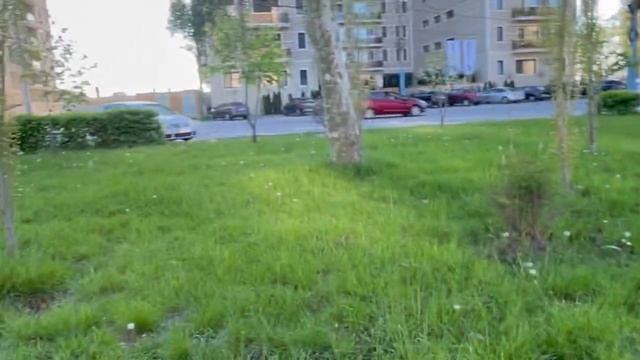 VLOG Румыния ?? *За что Маша любит маму? * Чего БОИТСЯ МАША мост днем и ночью, дельфины/ Наша маша смотреть онлайн