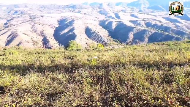 Охота на фазана в красивых местах смотреть онлайн