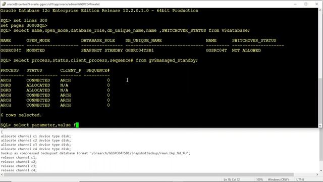 Steps to perform a cold backup in oracle snapshot standby database смотреть онлайн