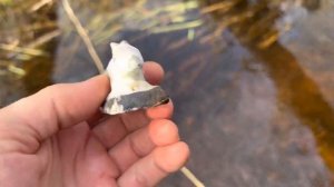 КОП В РЯЗАНСКОЙ ОБЛАСТИ. ШОК!!! НАШЛИ СТАТУЭТКУ В РУЧЬЕ.