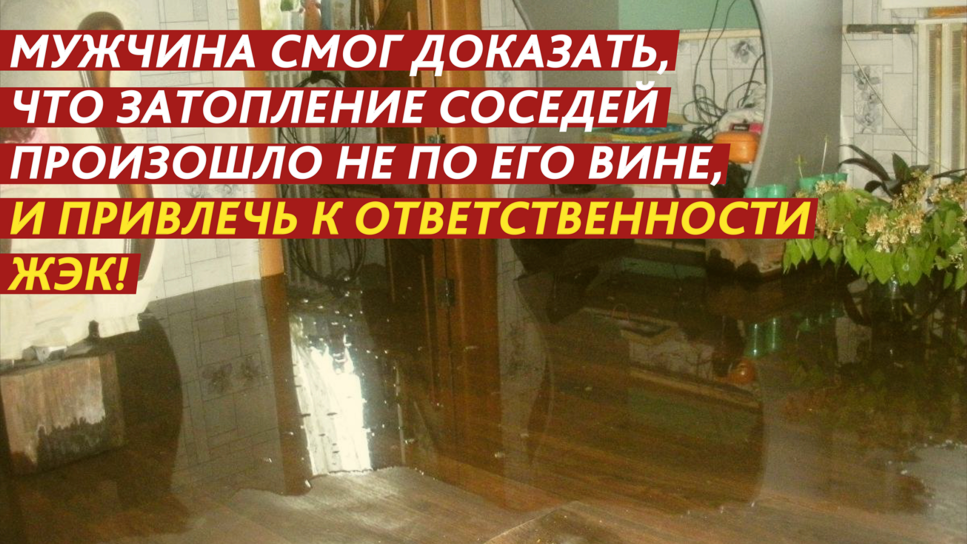 Центр защиты прав граждан «Справедливая Россия»