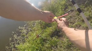 Ловля карпа на ложки (кормушки,соску)