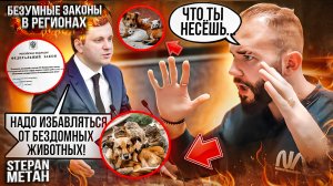 Безумные законы против животных в регионах