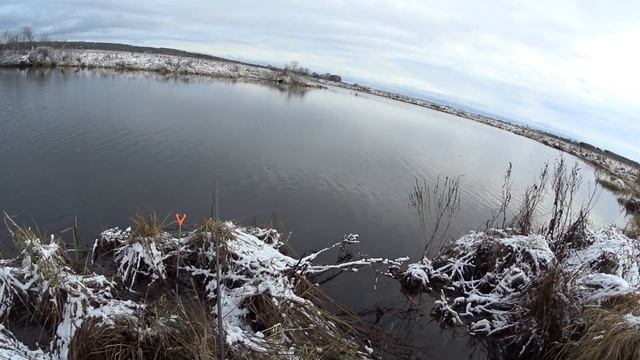 Осенний лов ротана.