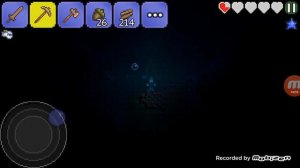 Играю в Terraria с мармоком