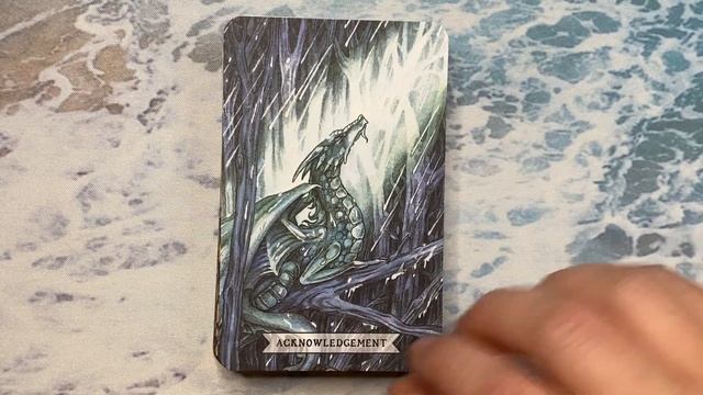 Thistledown Oracle By Three Trees Tarot | Flip Through смотреть онлайн