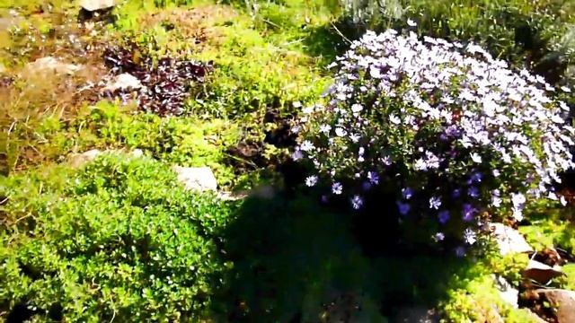 Профессиональный Строитель