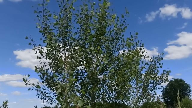 11 июля праздник Кропивное Заговенье. Канун Петрова дня. Народные приметы и традиции. Запреты дня. смотреть онлайн
