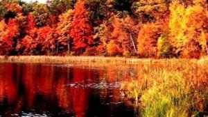 Мне осталась одна забава.wmv