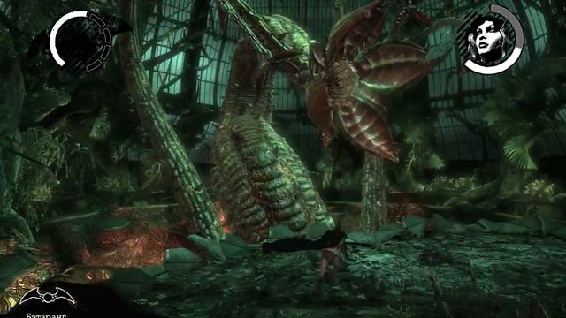 Прохождение игры Batman Arkham Asylum Часть 12