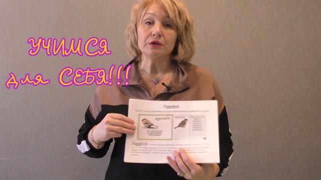 АЛЬБОМ, В КОТОРОМ НАХОДИТСЯ КОМПЛЕКСНАЯ РАБОТА НАД СЛОВАРНЫМИ СЛОВАМИ// #топБЛОГ смотреть онлайн