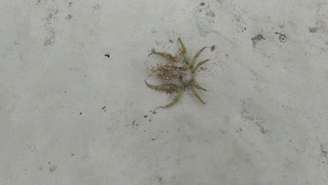 Филиппины. Уайт Бич. смотреть онлайн