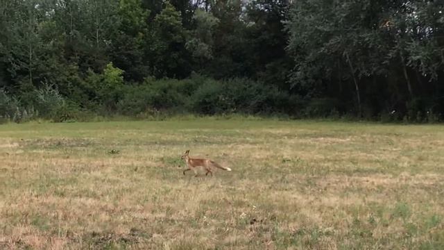 Сидорово Донецкая область смотреть онлайн
