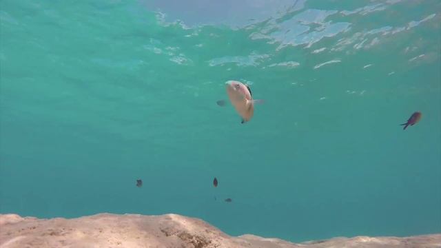 Snorkeling At Istron Beach Voulisma