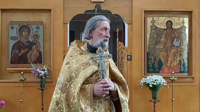 Протоиерей Александр Салтыков, проповедь 28 июня 2020г. смотреть онлайн