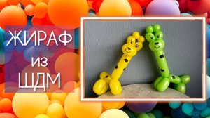 Жираф из воздушного шарика ШДМ