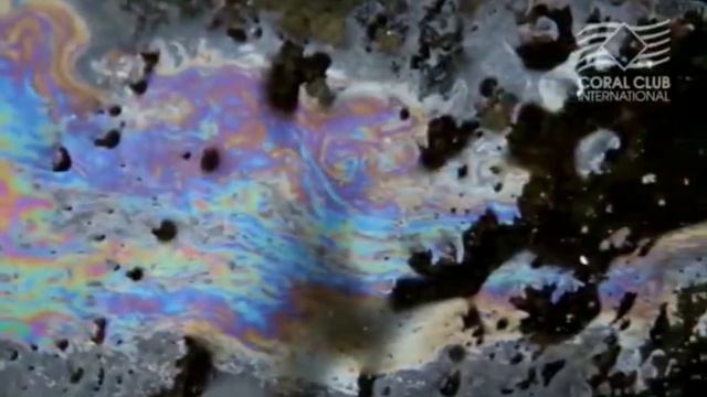 Coral Mine (Water centenarians) смотреть онлайн