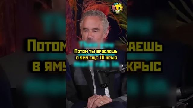 Теория о Короле крыс смотреть онлайн