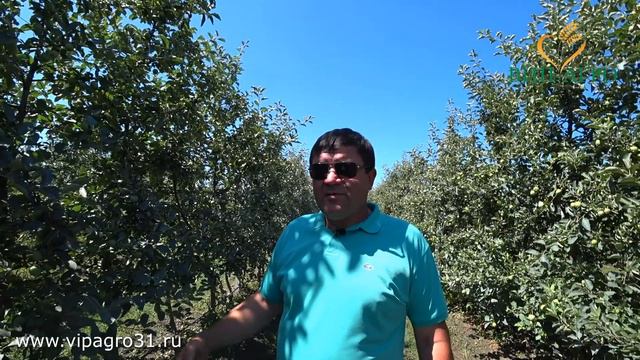 Обзор ситуации в саду смотреть онлайн