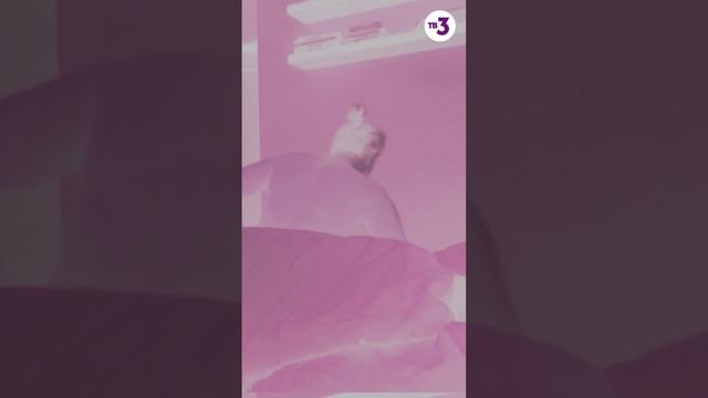 В спальне сама собой включилась плазма #shorts смотреть онлайн