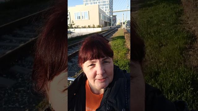 ВЛАДИВОСТОК.Бухты японского моря.Остров Русский+Океанариум.Золотой мост.Морепродукты. 07-25.11.22г смотреть онлайн
